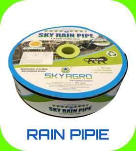 RAIN PIPE